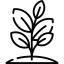 Flowers & Plants